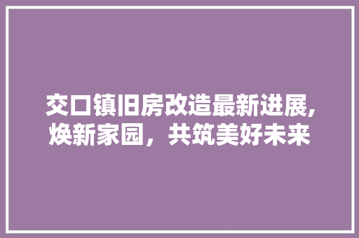 交口镇旧房改造最新进展,焕新家园，共筑美好未来