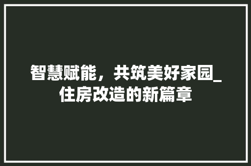 智慧赋能，共筑美好家园_住房改造的新篇章