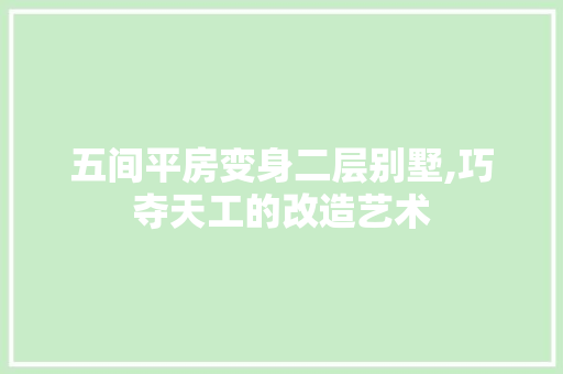 五间平房变身二层别墅,巧夺天工的改造艺术