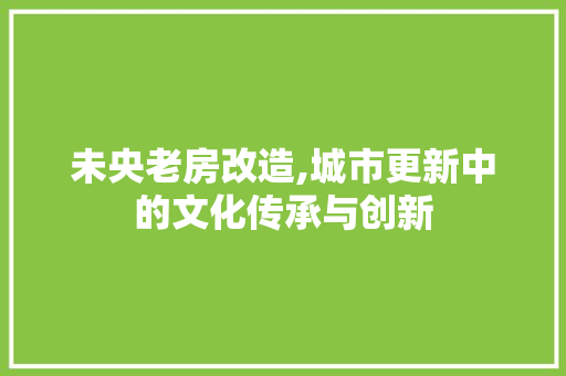 未央老房改造,城市更新中的文化传承与创新