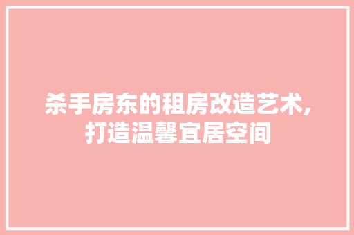 杀手房东的租房改造艺术,打造温馨宜居空间