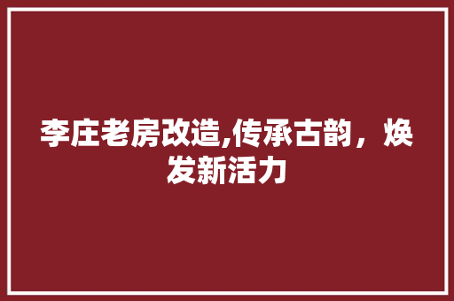 李庄老房改造,传承古韵，焕发新活力