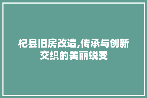 杞县旧房改造,传承与创新交织的美丽蜕变