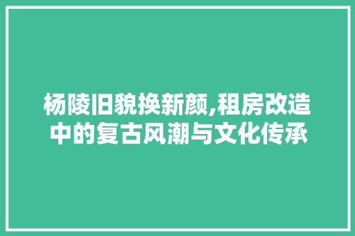 杨陵旧貌换新颜,租房改造中的复古风潮与文化传承