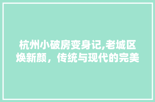 杭州小破房变身记,老城区焕新颜，传统与现代的完美融合