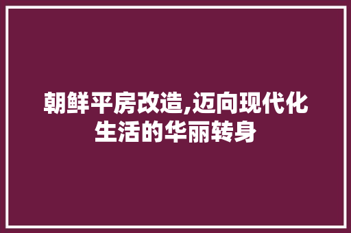 朝鲜平房改造,迈向现代化生活的华丽转身