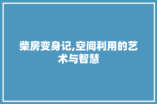 柴房变身记,空间利用的艺术与智慧