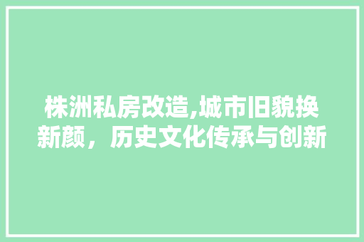 株洲私房改造,城市旧貌换新颜，历史文化传承与创新并行