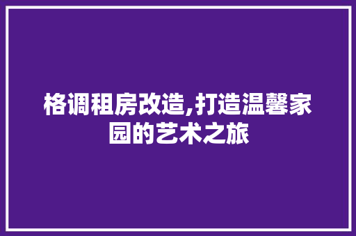 格调租房改造,打造温馨家园的艺术之旅