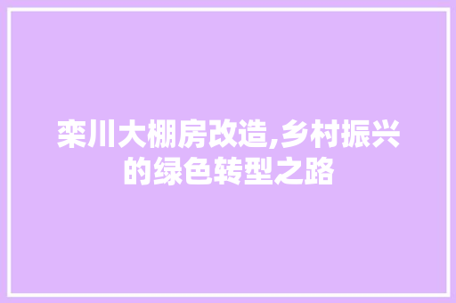 栾川大棚房改造,乡村振兴的绿色转型之路