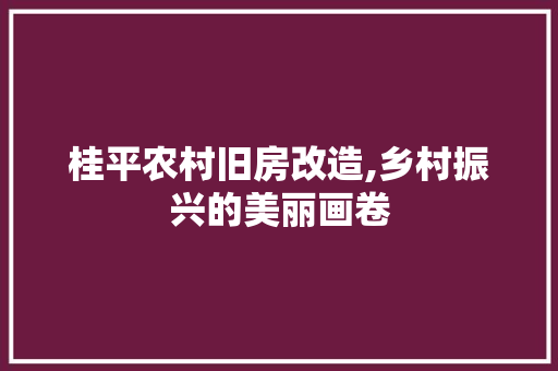 桂平农村旧房改造,乡村振兴的美丽画卷