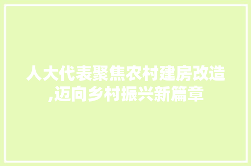 人大代表聚焦农村建房改造,迈向乡村振兴新篇章