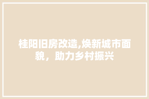 桂阳旧房改造,焕新城市面貌，助力乡村振兴