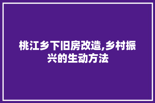桃江乡下旧房改造,乡村振兴的生动方法