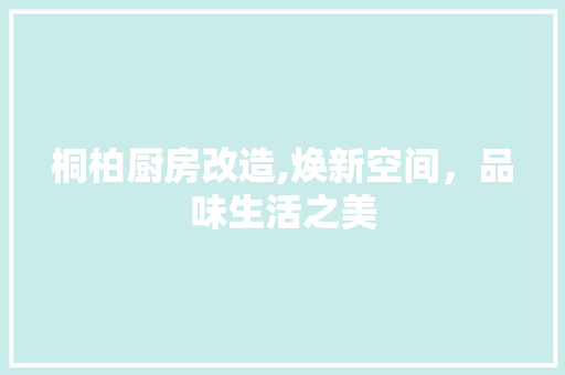 桐柏厨房改造,焕新空间，品味生活之美