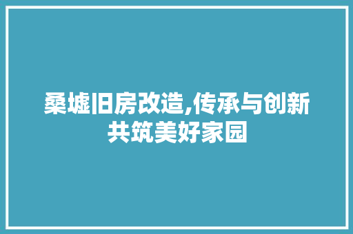 桑墟旧房改造,传承与创新共筑美好家园