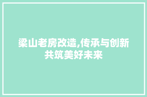 梁山老房改造,传承与创新共筑美好未来