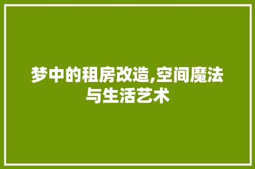 梦中的租房改造,空间魔法与生活艺术