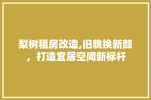 梨树租房改造,旧貌换新颜，打造宜居空间新标杆 景观设计