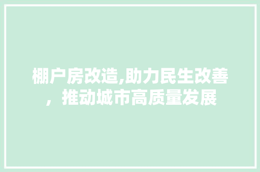 棚户房改造,助力民生改善，推动城市高质量发展