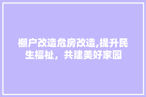 棚户改造危房改造,提升民生福祉，共建美好家园