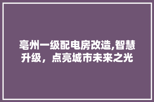 亳州一级配电房改造,智慧升级，点亮城市未来之光