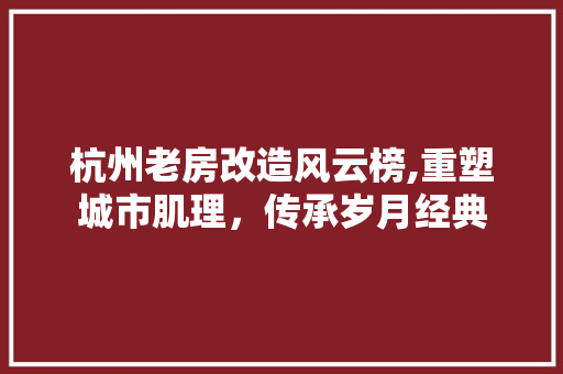 杭州老房改造风云榜,重塑城市肌理，传承岁月经典
