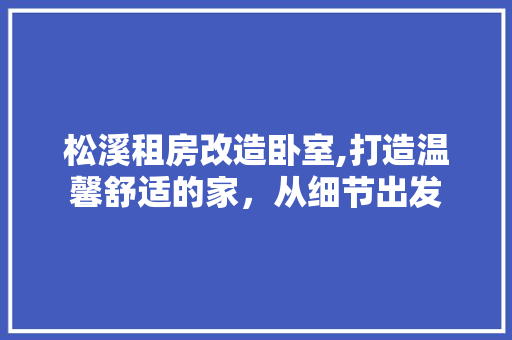 松溪租房改造卧室,打造温馨舒适的家，从细节出发