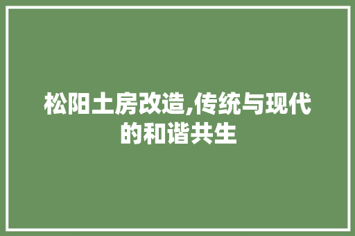 松阳土房改造,传统与现代的和谐共生