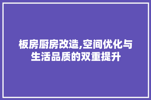 板房厨房改造,空间优化与生活品质的双重提升