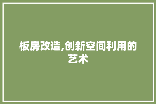 板房改造,创新空间利用的艺术