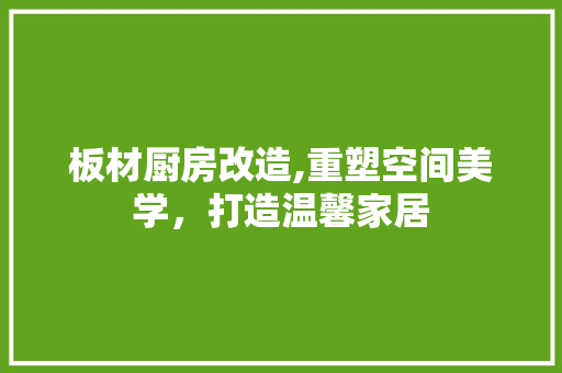 板材厨房改造,重塑空间美学，打造温馨家居