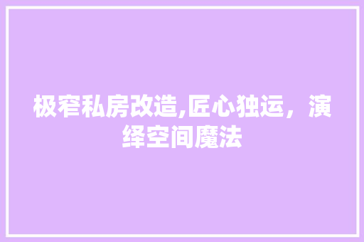 极窄私房改造,匠心独运，演绎空间魔法