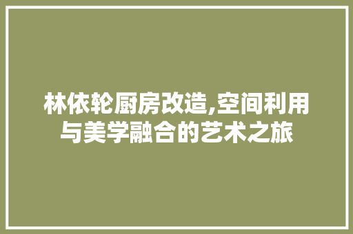 林依轮厨房改造,空间利用与美学融合的艺术之旅