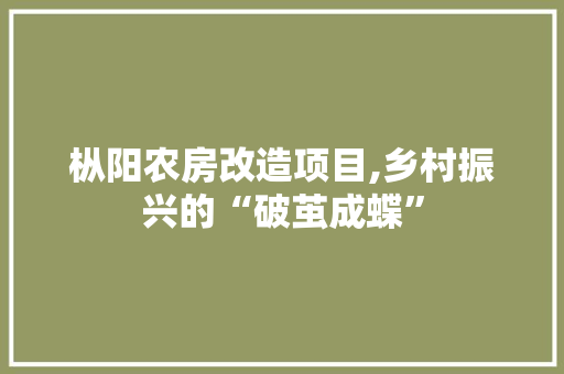 枞阳农房改造项目,乡村振兴的“破茧成蝶”