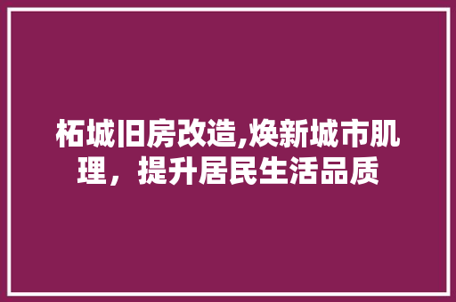 柘城旧房改造,焕新城市肌理，提升居民生活品质