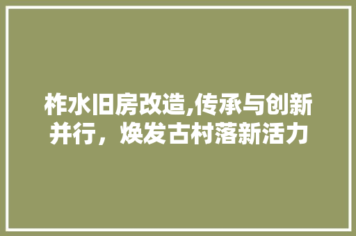 柞水旧房改造,传承与创新并行，焕发古村落新活力