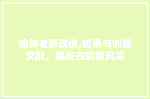 榆林老房改造,传承与创新交融，焕发古韵新风采