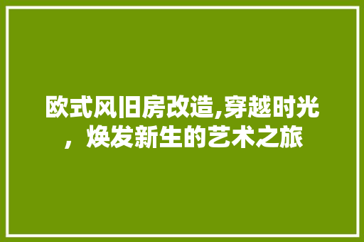 欧式风旧房改造,穿越时光，焕发新生的艺术之旅