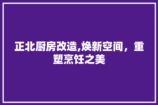 正北厨房改造,焕新空间，重塑烹饪之美