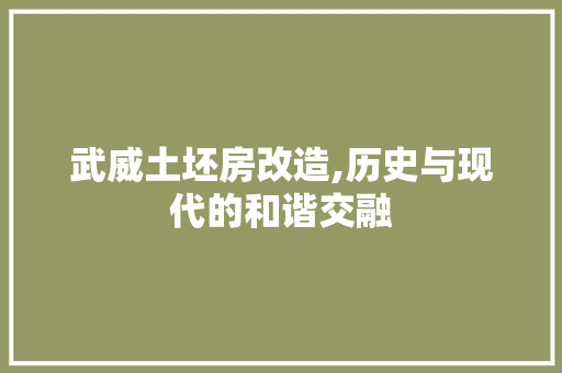 武威土坯房改造,历史与现代的和谐交融
