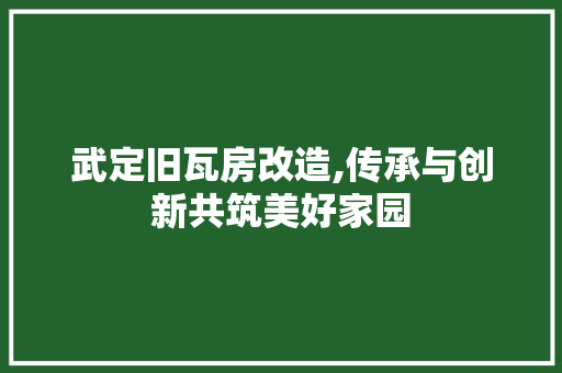 武定旧瓦房改造,传承与创新共筑美好家园