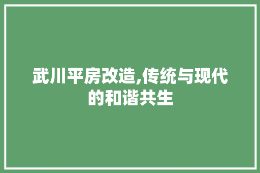 武川平房改造,传统与现代的和谐共生
