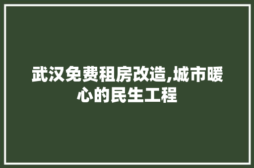 武汉免费租房改造,城市暖心的民生工程