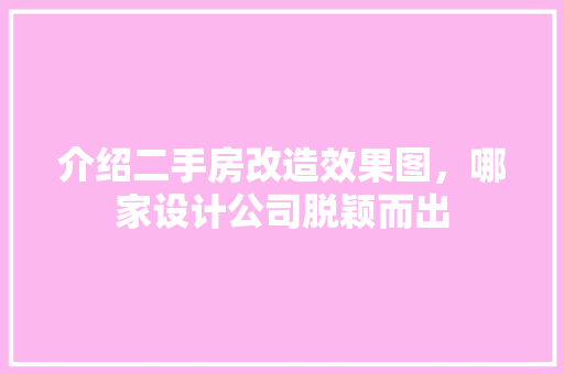 介绍二手房改造效果图，哪家设计公司脱颖而出