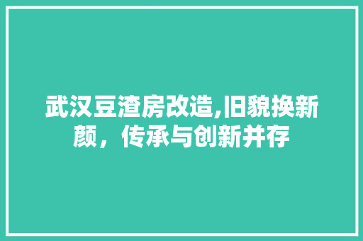 武汉豆渣房改造,旧貌换新颜，传承与创新并存