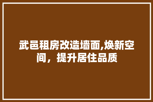 武邑租房改造墙面,焕新空间，提升居住品质