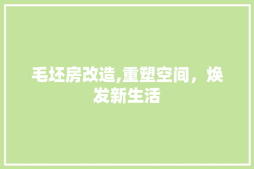 毛坯房改造,重塑空间，焕发新生活