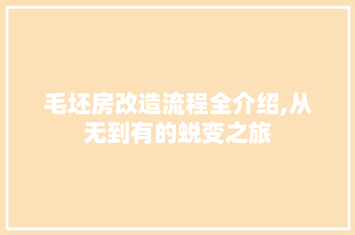 毛坯房改造流程全介绍,从无到有的蜕变之旅