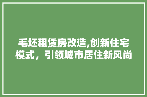 毛坯租赁房改造,创新住宅模式，引领城市居住新风尚